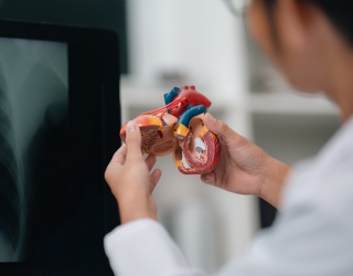 Bayer Presents Phase III Cardiac MRI Data for Low-Dose Gadoquatrane