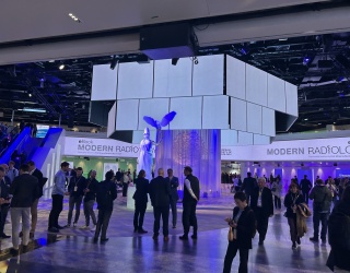 Photo: Radiology errors in focus: lessons on AI, bias and communication at ECR...