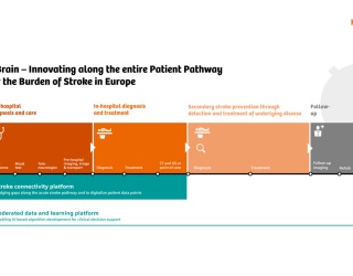 Photo: EU Project to Improve Stroke Care