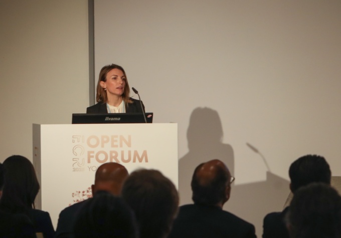 Elena Magalotti during a presantation at the ECR